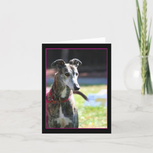 Cartão Greyhound Notecard