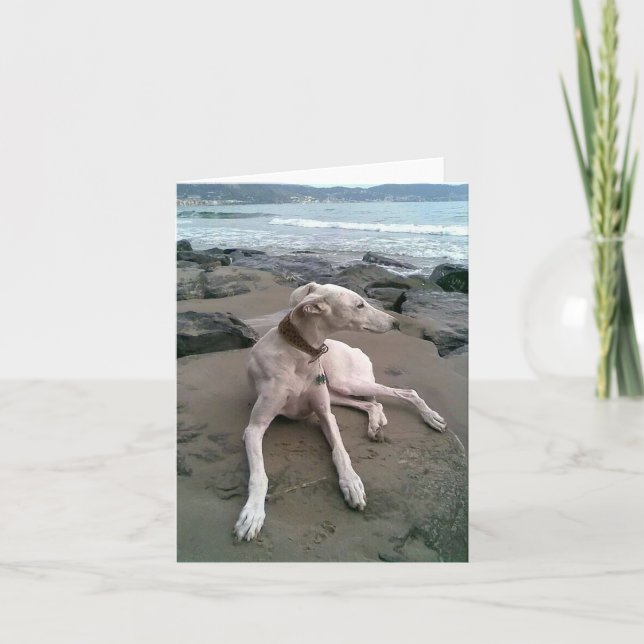 Cartão Greyhound Puppy Dog Blank Note Card (Frente)