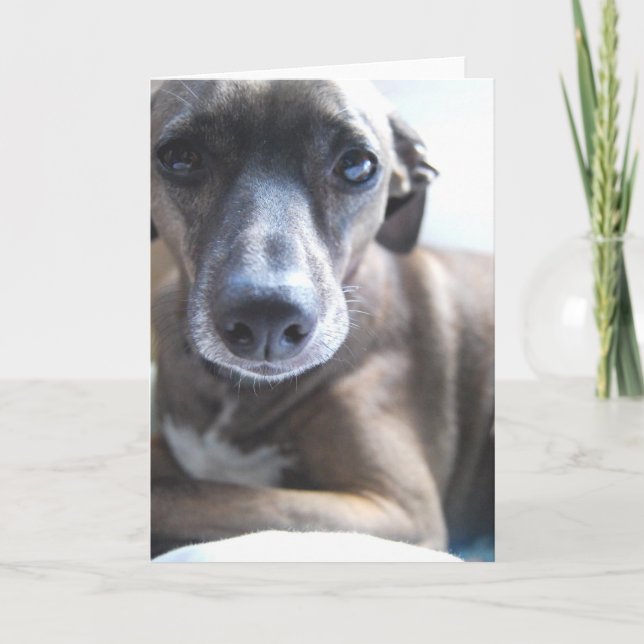 Cartão Greyhound Puppy Greeting Card (Frente)