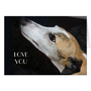 Cartão Greyhound Te Ama