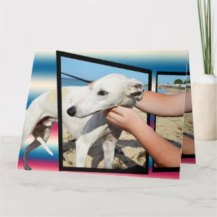 Cartão Greyhound Three Dimensional Big Greeting Card