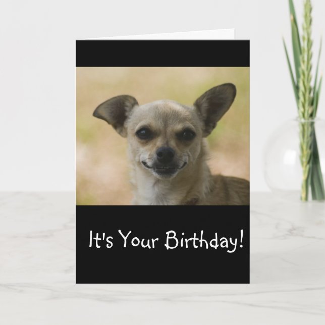 Cartão Grin and Bear It Chihuahua Birthday Card (Frente)