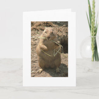Cartão Grinning Groundhog Greeting Card
