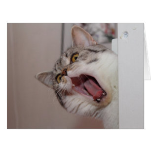 Cartão Gritando em British Shorthair