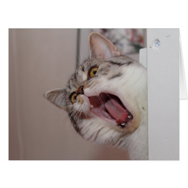 Cartão Gritando em British Shorthair (Frente horizontal)