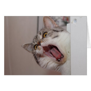 Cartão Gritando em British Shorthair