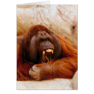 Cartão Gritar do macaco