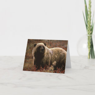 Cartão Grizzly Bear Note Card