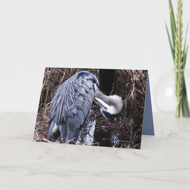 Cartão Grooming Heron (Frente)