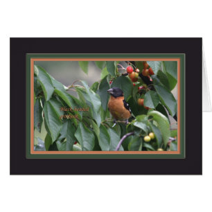 Cartão Grosbeak5905 de cabeça negra