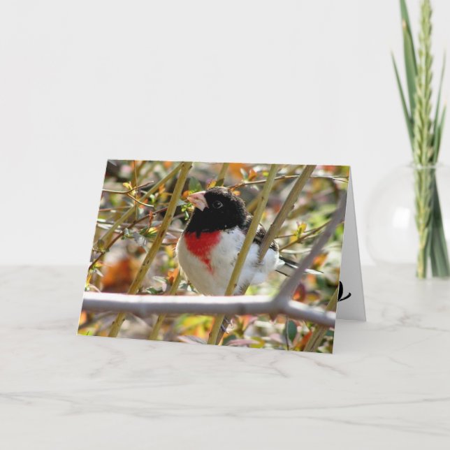 Cartão Grosbeak Vermelho (Frente)