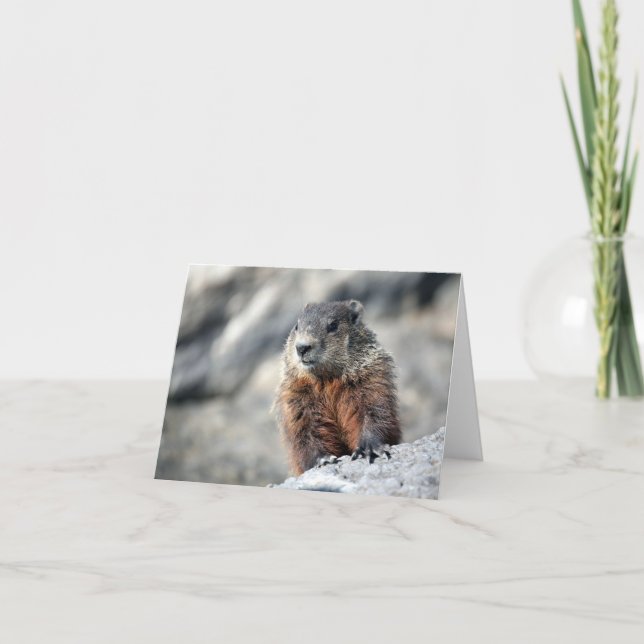 Cartão Ground Hog (Frente)