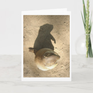 Cartão Ground Hog Day Card