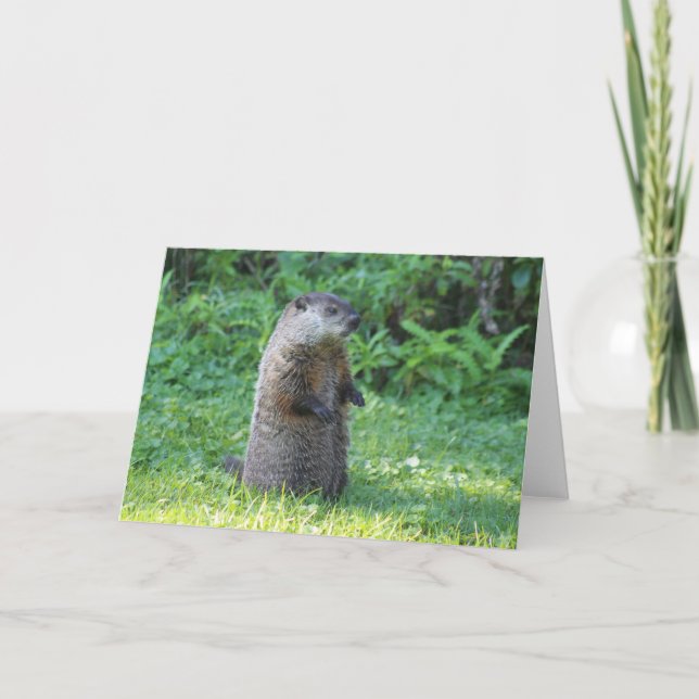 Cartão Ground Hog greeting card (Frente)