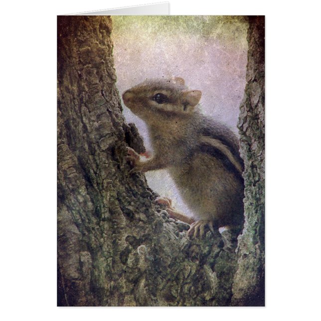 Cartão Ground Squirrel Grunge (Frente)