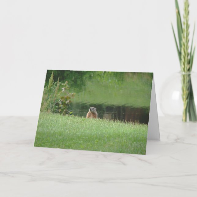 Cartão Groundhog (Frente)