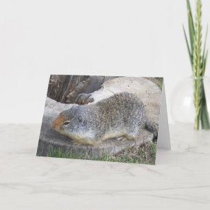 Cartão Groundhog
