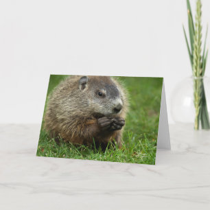 Cartão Groundhog Day Woody
