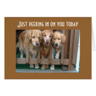 CARTÃO GROUP SAYS RUN AROUND CHASE TAIL