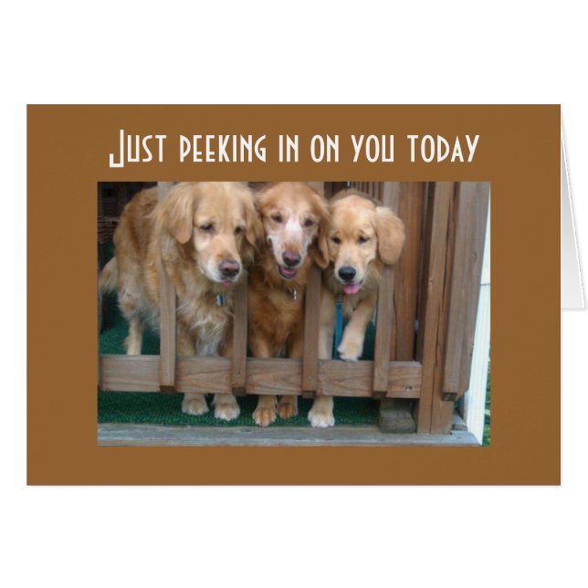 CARTÃO GROUP SAYS RUN AROUND CHASE TAIL (Frente Horizontal)