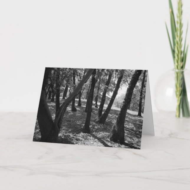 Cartão Grove at Hopland Station, 1966 (Frente)