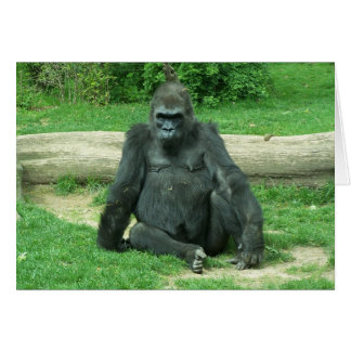 Cartão Grumpy Lowland Gorilla