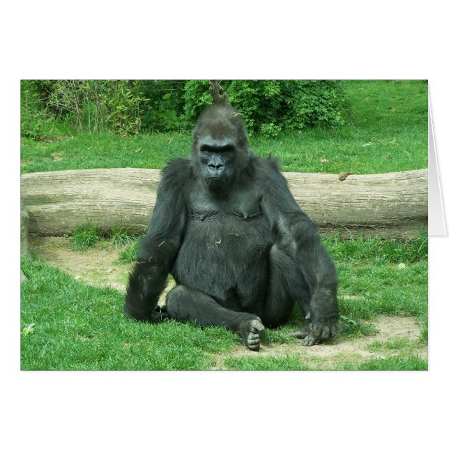 Cartão Grumpy Lowland Gorilla (Frente Horizontal)