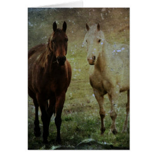 Cartão Grunge dos amigos do cavalo