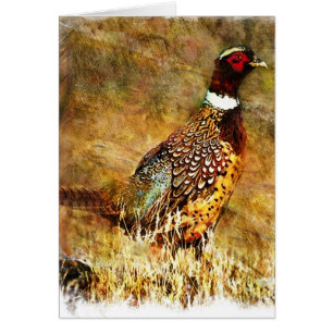 Cartão Grunge Phesant
