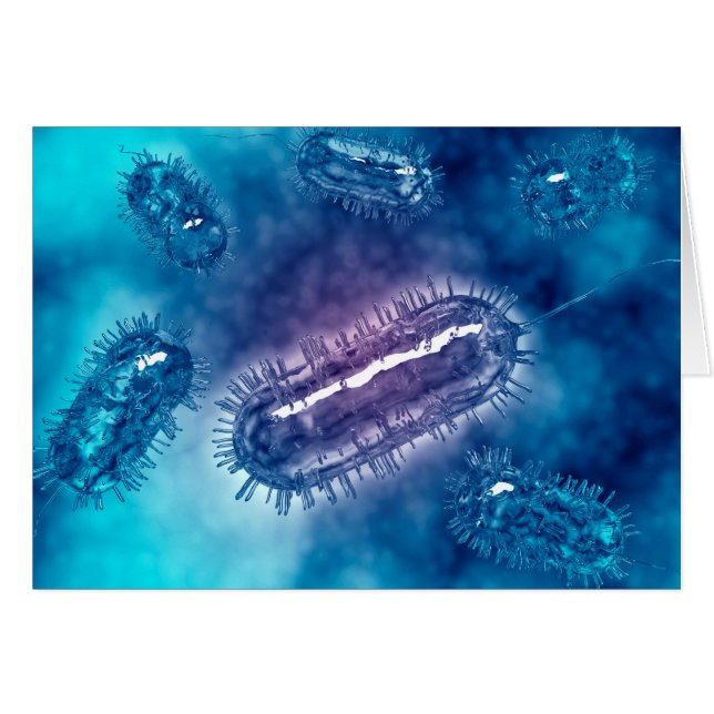 Cartão Grupo De Bactérias Escherichia Coli 1 (Frente Horizontal)