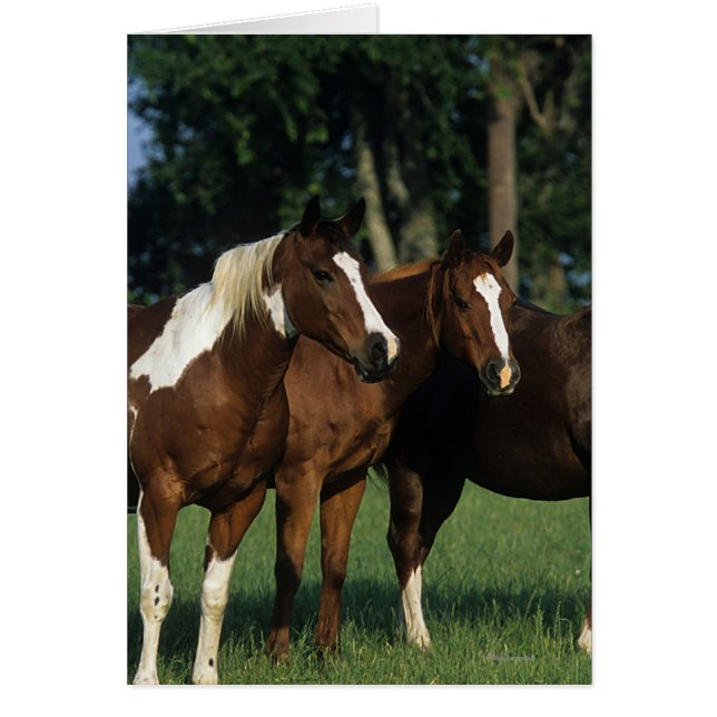 Cartão Grupo de Cavalos de Pintura em Permanente (Frente)