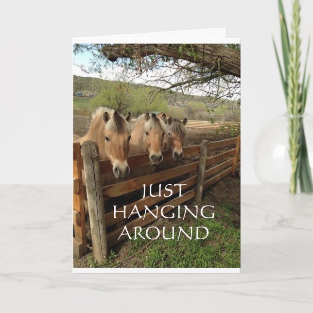 CARTÃO GRUPO DE CAVALOS LEGAL DIZ "ANIVERSÁRIO FELIZ" (Frente)