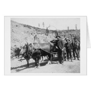 Cartão Grupo de fotografia Dourado dos Prospectors