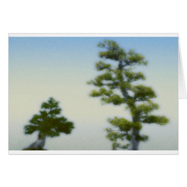 Cartão Grupo de pinheiros dos bonsais (Frente Horizontal)