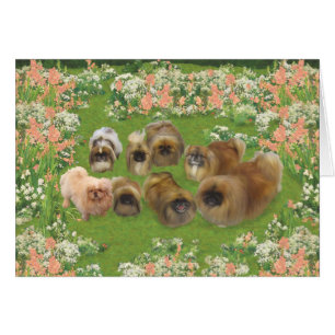 Cartão Grupo do Jardim