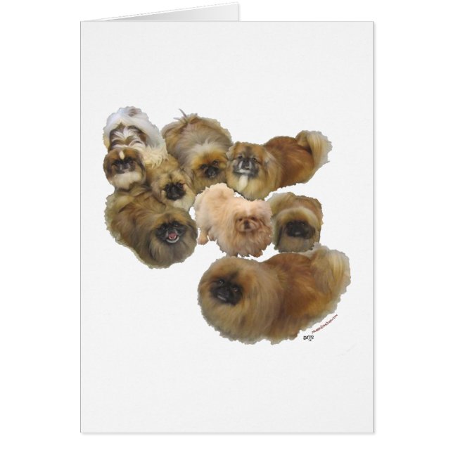 Cartão Grupo Pekingese (Frente)