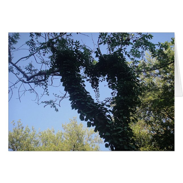 Cartão Grusskarte Baumherz, cobertor (Frente Horizontal)