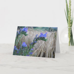 Cartão Grusskarte Kornblumen