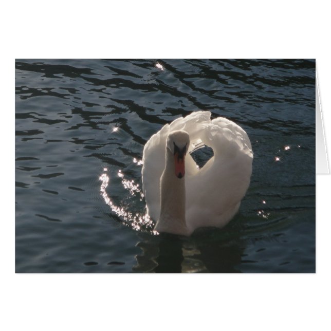 Cartão Grusskarte romantischer weisser Schwan (Frente Horizontal)