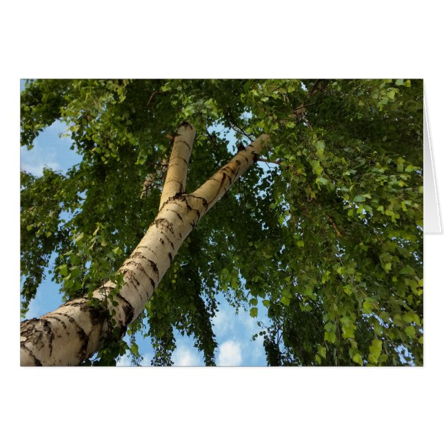 Cartão guarda-chuva de pássaro (Frente Horizontal)