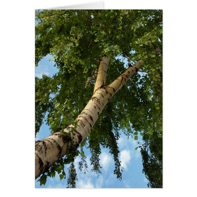 Cartão guarda-chuva de pássaro (Frente)