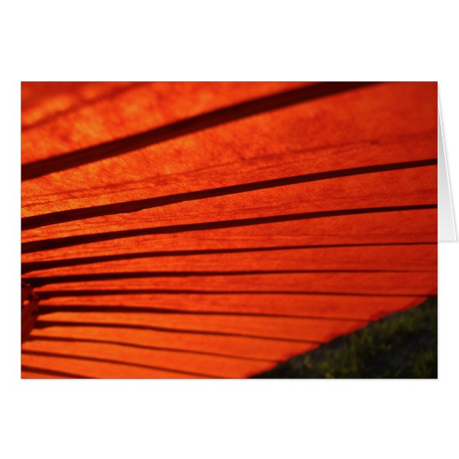 Cartão Guarda-chuva vermelho (Frente Horizontal)