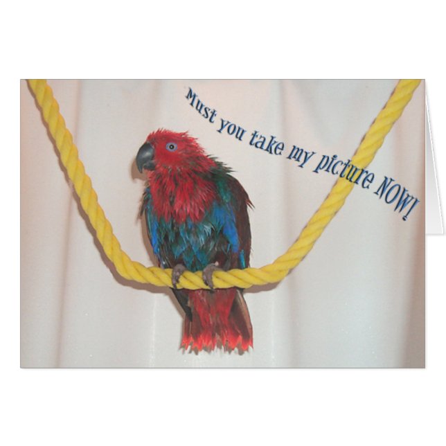 Cartão Guardas (Frente Horizontal)