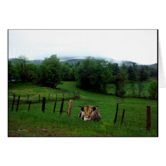 Cartão Guardião do Campo Esmeralda