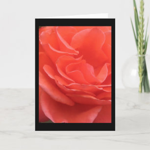 Cartão Guias da placa de saudação de fotos com ventilador