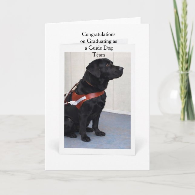 Cartão Guide Dog Graduation Congratulations Card (Frente)