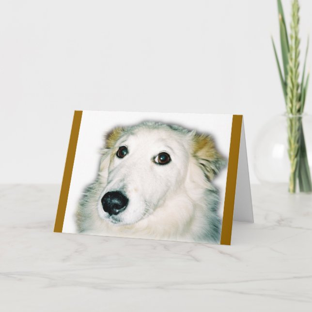 Cartão guilty dog (Frente)