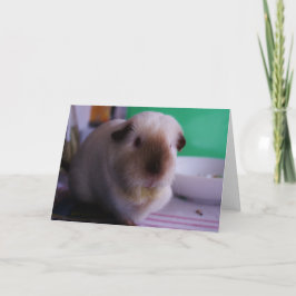 Cartão Guinea Pig Greeting Card