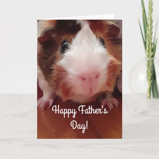 Cartão Guinea Pig Happy Father's Day (Frente)