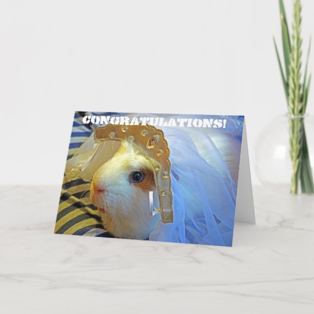 Cartão guinea pig with a veil (Frente)